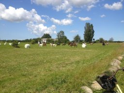 img_1535_web